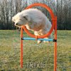 Agility