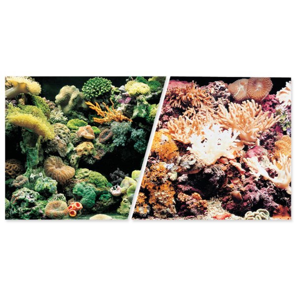 Hagen Marina pozadí mořské oboustranné 45 cm