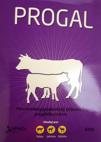 Další foto