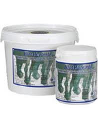 BioGlukomin pro koně 450g