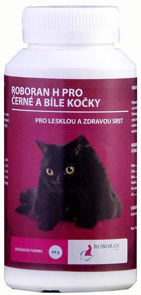 Další foto