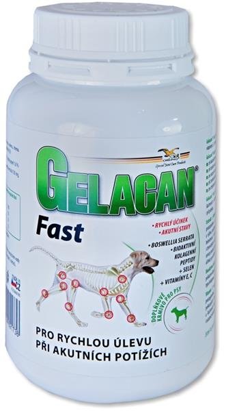 Gelacan Fast 150g