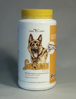 Gelacan Plus Profi 1000g