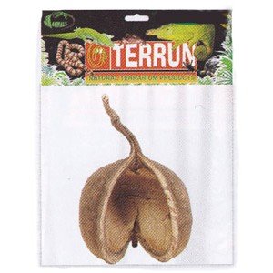 TERRUN-Buddha nut
