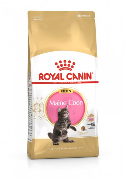 Royal Canin Maine Coon Kitten 400g