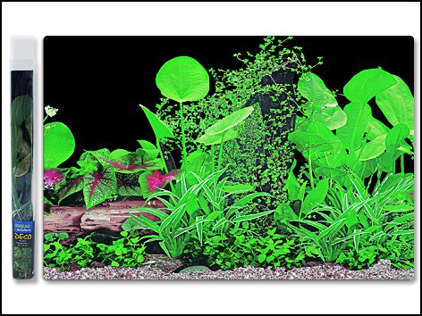 Pozadí AQUA EXCELLENT tapeta ráj rostlin č.1 -  40 cm