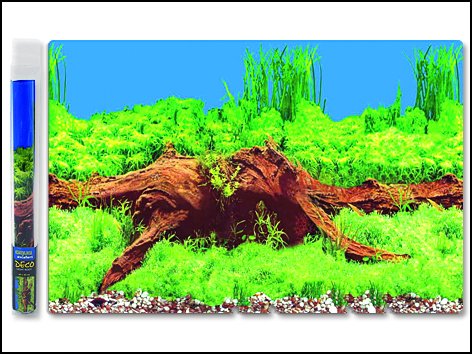 Pozadí tapeta kořen 1500 x 40 cm 15m