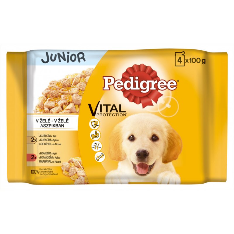 Pedigree kapsa Junior kuřecí/hovězí,rýže v želé 4x100g