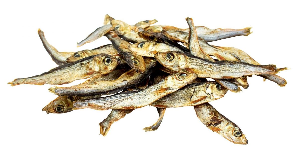 Rybičky - mořské šproty 5 kg