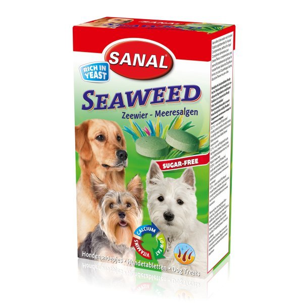 Sanal pes Seaweed s mořskou řasou a vitamíny 100tbl