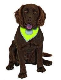Šátek na krk reflex Safety Dog 38-50cm Žlutý KAR