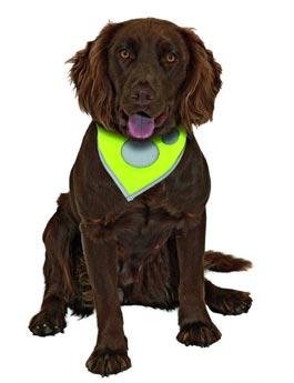 Šátek na krk reflex Safety Dog 28-40cm Žlutý KAR