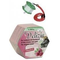 Liz solný pro koně DELIZIA náplň malina 650g