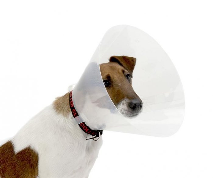 Límec ochranný BUSTER plastový Clic Collar 40cm