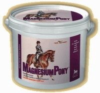 Orling Magnesiumpony plv 3000g
