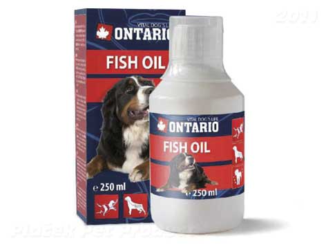 ONTARIO olej 250ml