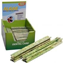 Star stick  Algae 12 cm