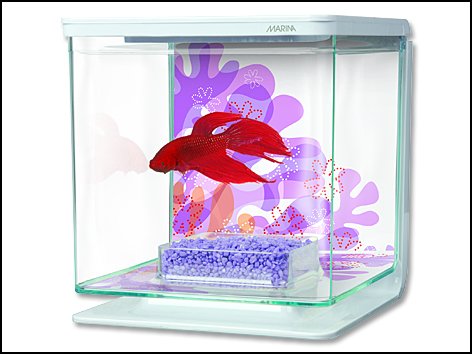 Hagen Marina Betta Kit Flower akvárium 2 l