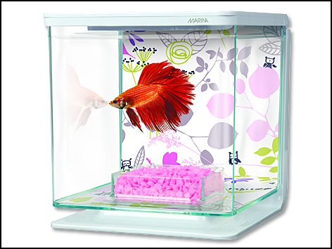 Hagen Betta Marina Kit Floral akvárium 2 l