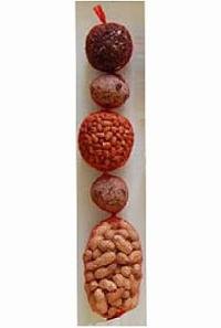 Benelux Pochoutka pro ptáky zimní směs závěsn 70cm