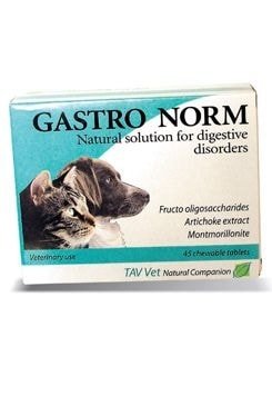 Gastro Norm 45tbl