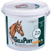 Gelapony VitaMin 10,8kg