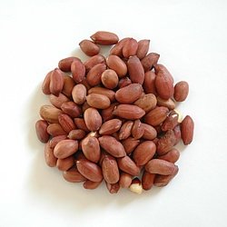 apetit podzemnice loupaná (buráky) 1kg