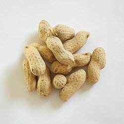 apetit buráky ve slupce (neloupané) 1kg