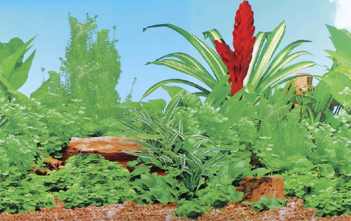 Akvarijní pozadí FEELING, 49x1500cm