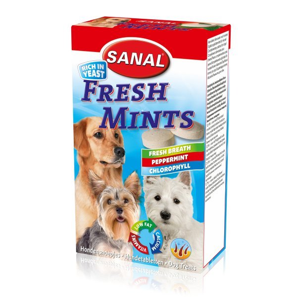 SANAL Fresh Mints-s mátou 85tb