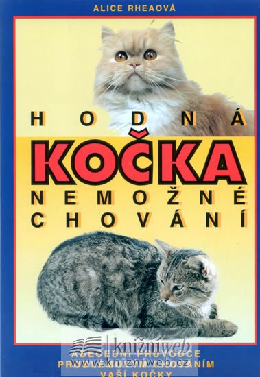 HODNÁ kočka nemožné chování