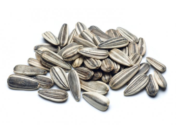 Slunečnice žíhaná 1kg toma VELKOZRNNÁ