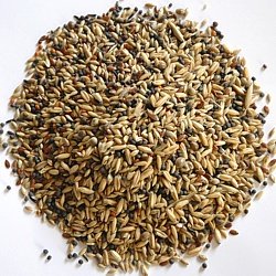 apetit kanár kbelík 3L