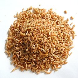 Apetit gamarus 500g