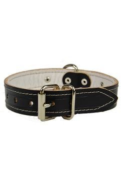 Obojek kožený hladký podložený 45cmx25mm/3mm černá