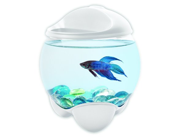 Akvárium TETRA Betta Bubble bílé 1,8l