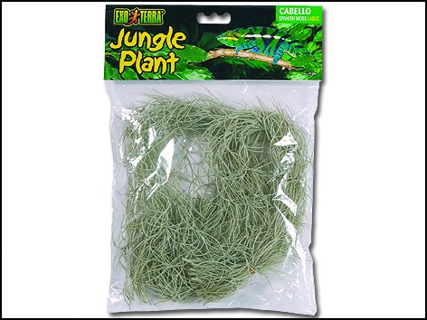 Rostlina Spanish Moss velká 102 cm