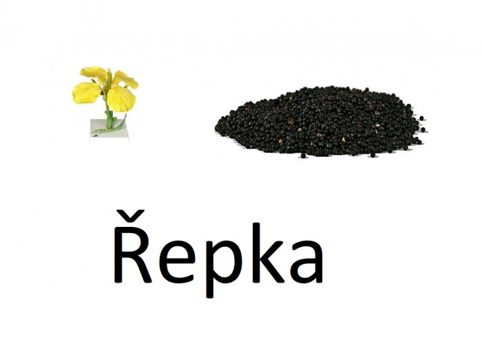 řepka vážená 1kg