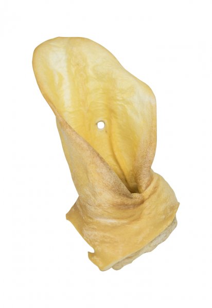 Ucho hovězí - bílé (10 ks/bal)