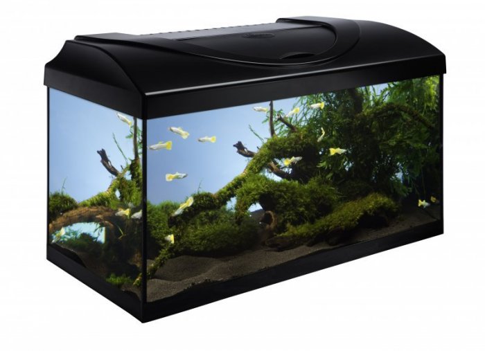 Diversa akvarijní set 60 černá 60x30x30 cm