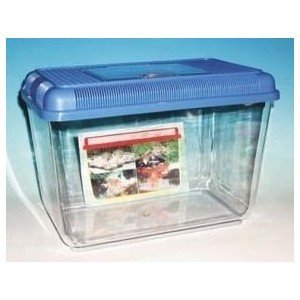 Fauna box AQUAZOO 4 - MARCHIORO 38 x 24 x 24 cm 14 L