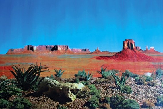 Pozadí do terária, oboustranné POUŠŤ/STEP 60 x 150 cm