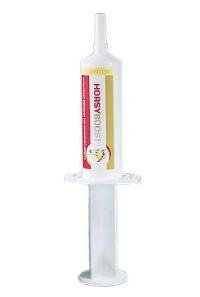 Horsyboost 1x20ml