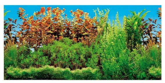 Akvarijní pozadí oboustranné 60 x30 cm