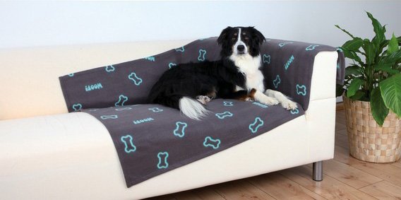 Flísová deka BEANY 100x70cm - šedá s modrými kostičkami
