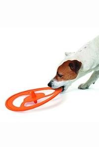 Hračka pes létající talíř Frisbee 22cm nylon KAR