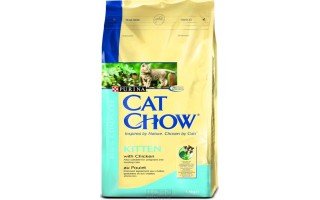 Purina Cat Chow Kitten 15kg