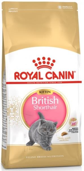 Royal Canin British Shorthair Kitten 10kg