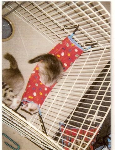 Odpočívadlo pro fretku tunel