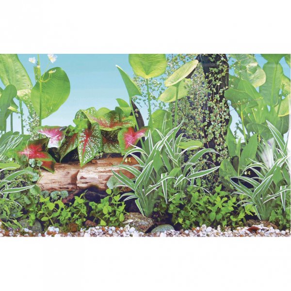 Hailea pozadí Grassy zelené rostliny XS 30 cm/15 m